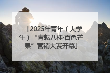 2025年青年（大学生）“青耘八桂·百色芒果”营销大赛开幕
