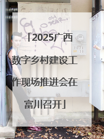2025广西数字乡村建设工作现场推进会在富川召开
