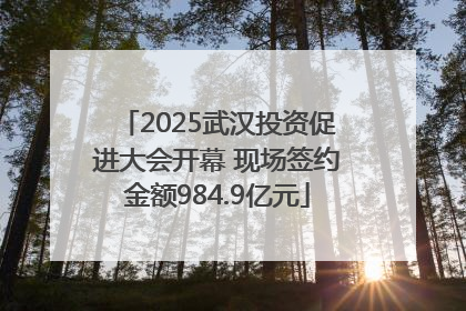 2025武汉投资促进大会开幕 现场签约金额984.9亿元