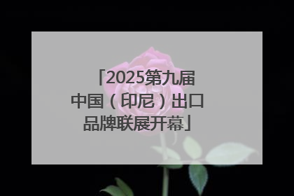 2025第九届中国（印尼）出口品牌联展开幕