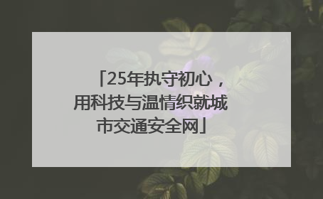 25年执守初心，用科技与温情织就城市交通安全网