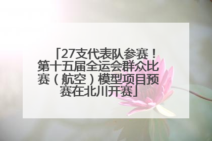 27支代表队参赛！第十五届全运会群众比赛（航空）模型项目预赛在北川开赛