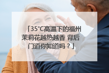 35℃高温下的福州茉莉花越热越香 背后门道你知道吗？