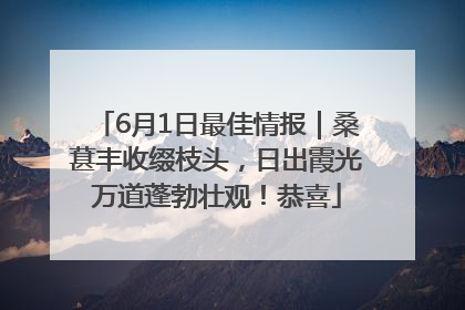 6月1日最佳情报｜桑葚丰收缀枝头，日出霞光万道蓬勃壮观！恭喜