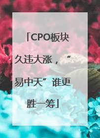 CPO板块久违大涨，“易中天”谁更胜一筹