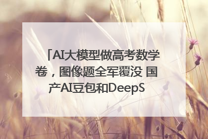 AI大模型做高考数学卷，图像题全军覆没 国产AI豆包和DeepSeek均得分144