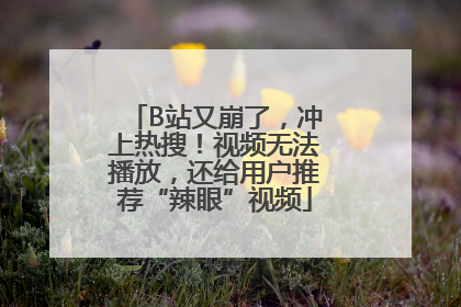 B站又崩了，冲上热搜！视频无法播放，还给用户推荐“辣眼”视频